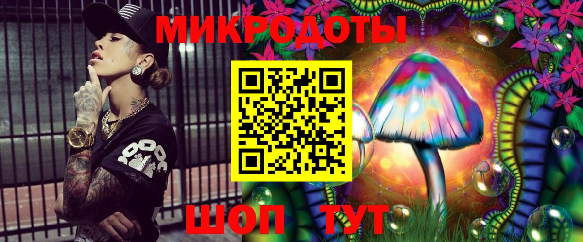 Димитровград  закладки  Вход с VPN  Галлюциногенные грибы Psilocybine cubensis 